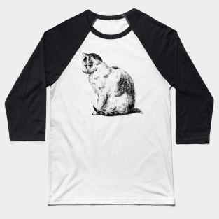 Sitting Cat Baseball T-Shirt